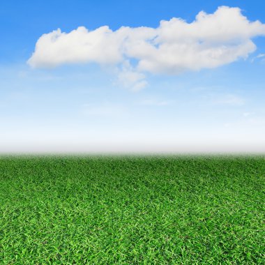 Güzel manzara, yeşil çimen, mavi gökyüzü