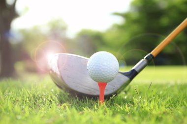 Golf sopası ve top çimenlerde.