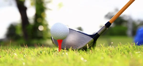 Golfklubb och boll i gräs — Stockfoto