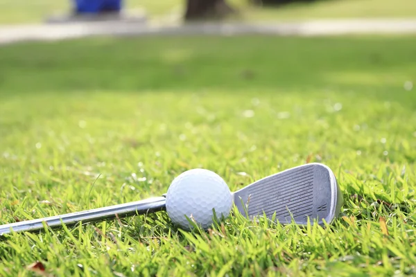 Club de golf y pelota en hierba — Foto de Stock