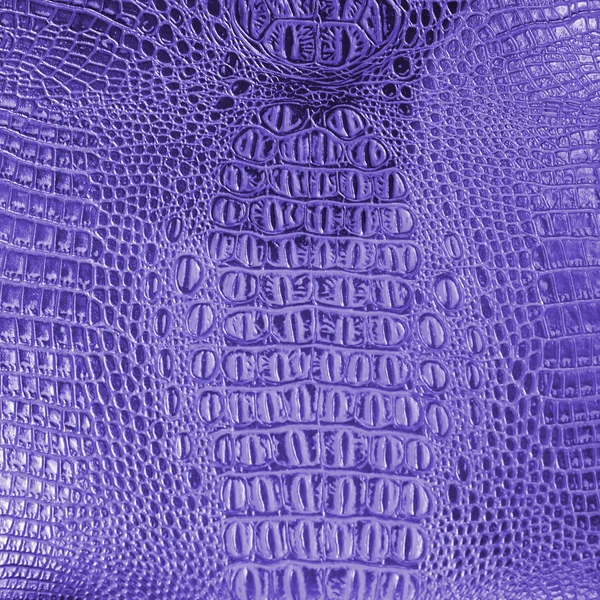 Krokodýlí kůže textura pozadí — Stock fotografie