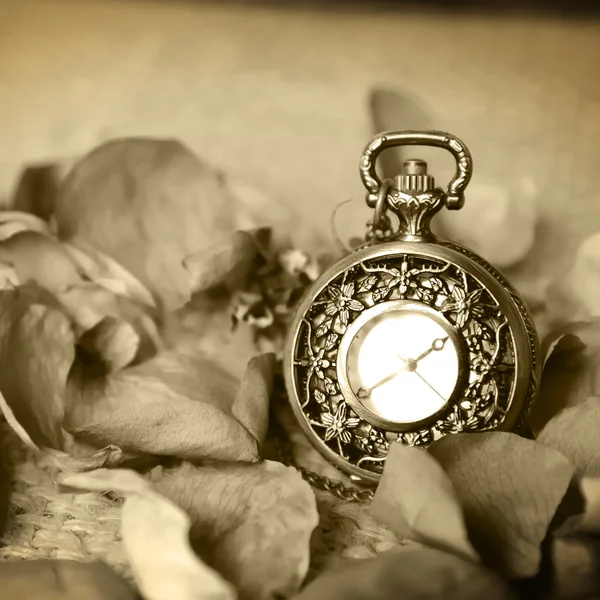 Vintage pocket watch with dry roose — Stock Photo, Image
