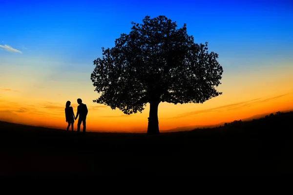 Valentine's day,romantic Scene of love — Stock Photo, Image