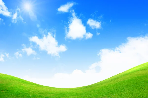 Hierba verde con cielo azul brillante — Foto de Stock
