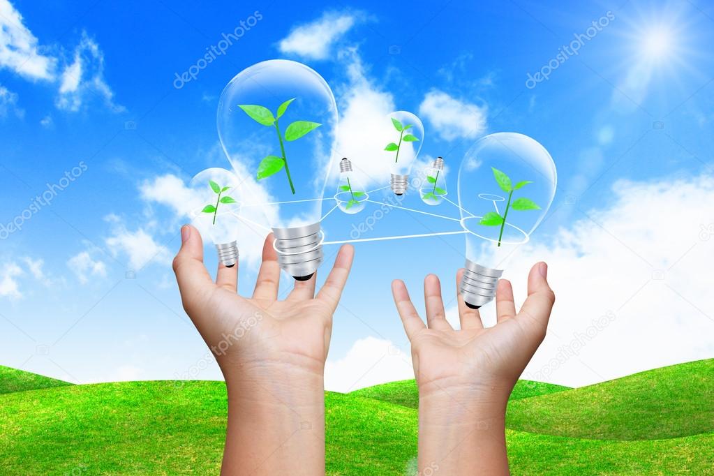 hand holding lightbulb : eco concept 