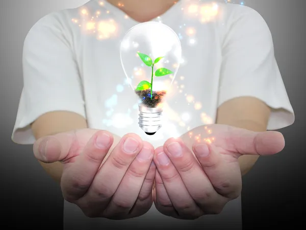 Hand holding lightbulb : eco concept hand holding Bulb — Stock Photo, Image