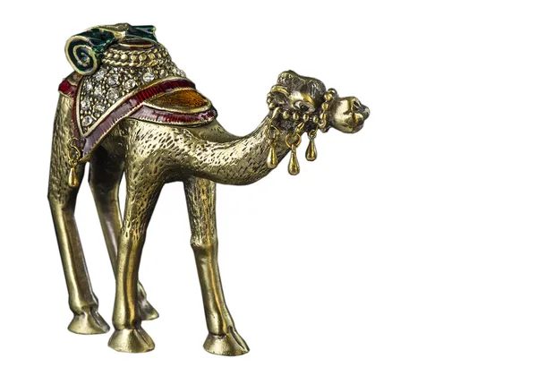 camel idol