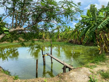 Tayland kırsalında eski ahşap kıyı şeridi