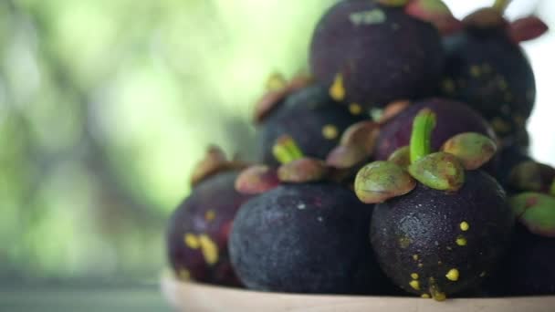 Panorámica Mangostán Púrpura Con Hojas Mangostán Reina Las Frutas Tropicales — Vídeos de Stock