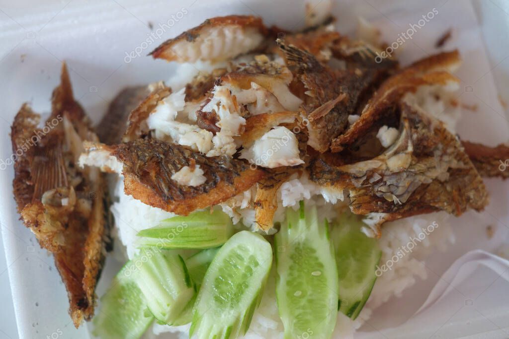 Pescado de tilapia frito servido en arroz al vapor, el popular menú con