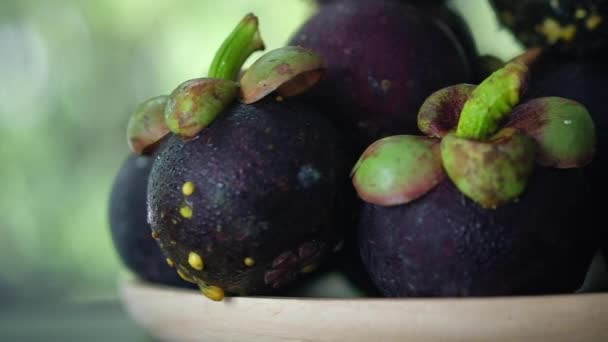 Panning Tiro Fruta Mangostão Mangostão Rainha Fruta Tropical — Vídeo de Stock