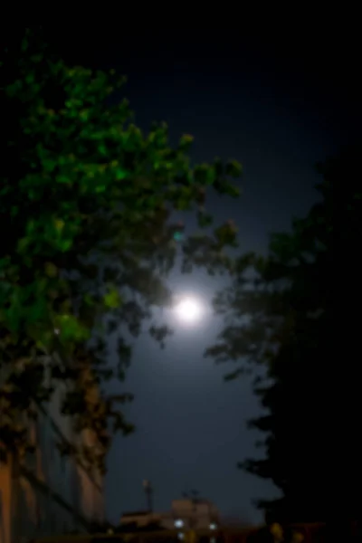 Luna Una Notte Buia Offuscata Vista Attraverso Gli Alberi Sfocatura — Foto Stock