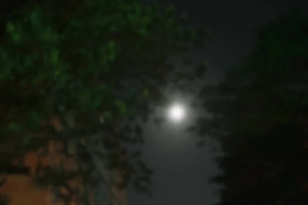 Der Mond Ist Einer Dunklen Nacht Durch Bäume Verschwommen Hintergrund — Stockfoto