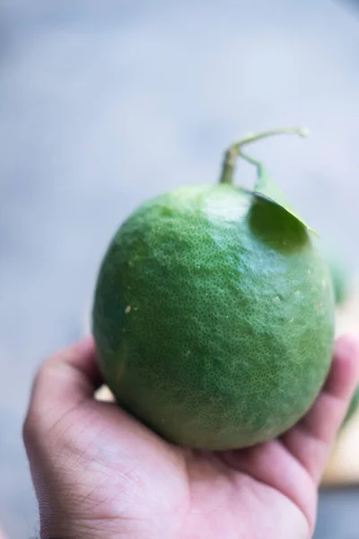 Bahçesinde Yaprakları Olan Koca Limonlar Taze Meyve Vitamini Bakımından Zengin — Stok fotoğraf