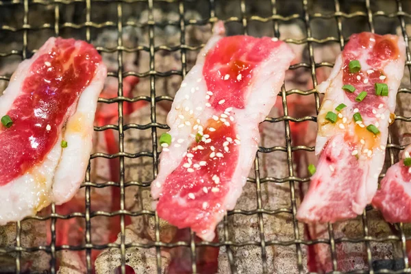 Yakiniku Dish Thinly Sliced Beef Soy Sauce Based Sauce Sprinkle —  Fotos de Stock