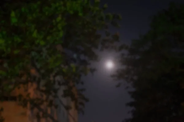 Luna Una Notte Buia Offuscata Vista Attraverso Gli Alberi Sfocatura — Foto Stock