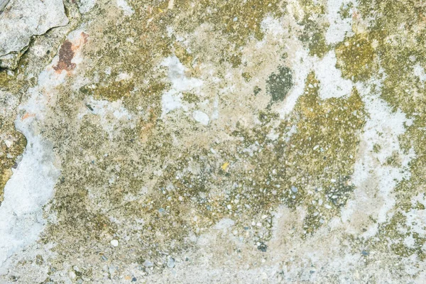 Yosun arkaplanı ve dokusu olan eski bir duvar.