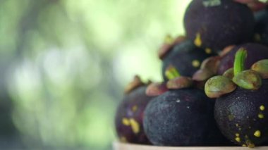 Taze mangosteen meyvesi, mangosteen tropikal meyvelerin kraliçesidir.