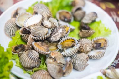 Close up of blood cockles or known as marine bivalve mollusc