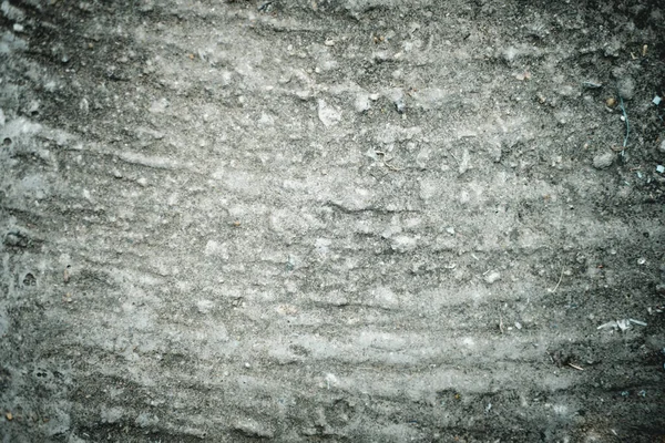 Texture Surface Ciment Béton Fond Écran Béton — Photo