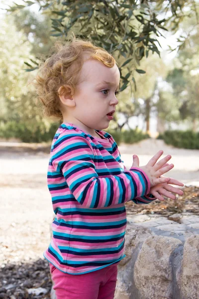 Cute little baby girl standing under the olive tree — Stock Photo, Image