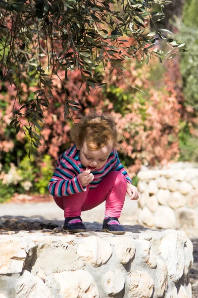 Cute little baby girl sitting under the olive tree — Stock Photo, Image