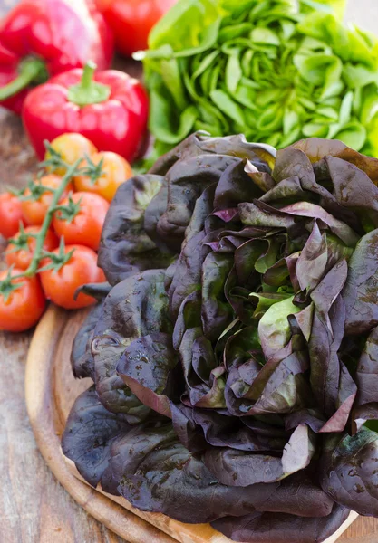 Green and red oak lettuce with tomatoes and paprika close up — Stock Photo, Image