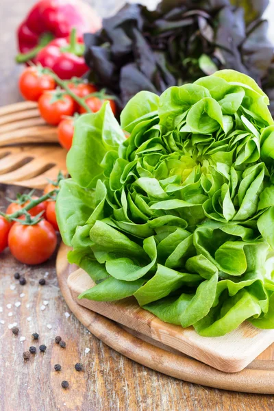 Green and red oak lettuce with tomatoes and paprika close up — Stock Photo, Image