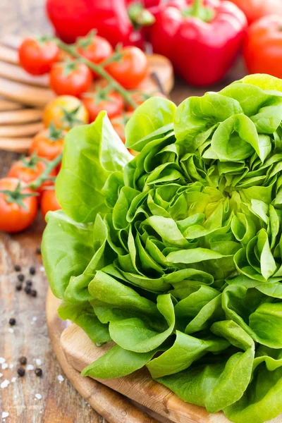 Зеленый дубовый салат с помидорами и паприкой крупным планом — стоковое фото