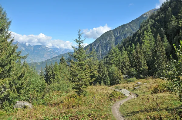 Tour de Mont Blanc hiking trail — Stock Photo, Image