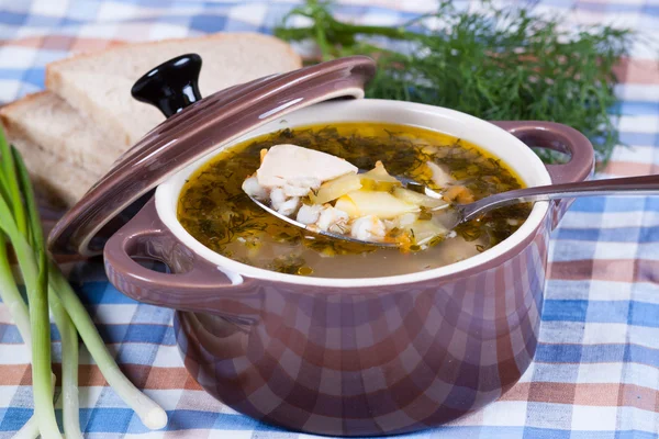 Вкусный суп в кастрюлях с ложкой, крупным планом — стоковое фото
