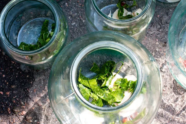 Pickling Komkommers Het Platteland Verwerking Van Herfstoogst — Stockfoto