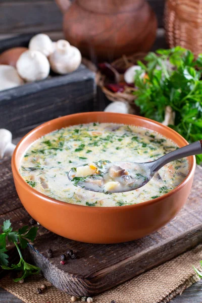 Cheese Soup Mushrooms Potatoes Carrots Delicious Cozy First Course Tasty — Stock Photo, Image