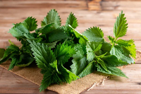 Junge Brennnesselblätter Frische Bio Brennnesselblätter Brennnesselblätter Brennnessel Phytotherapie Selektiver Fokus — Stockfoto