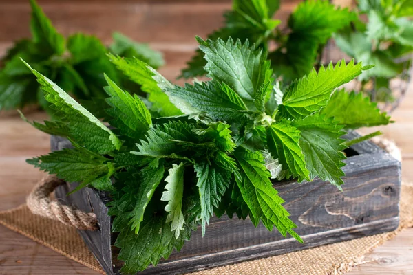 Nettle Leaves Old Wooden Background — Fotografia de Stock