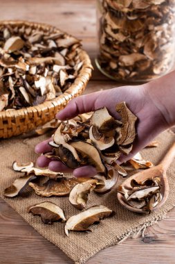 Collect and dry mushrooms in autumn, porcini mushrooms - a delicious ingredient for sauces and goulash on a rustic wooden table