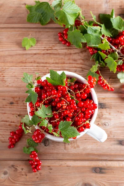 Cup Fresh Red Currants Ribes Rubrum Rustic Wooden Background Top — Foto de Stock