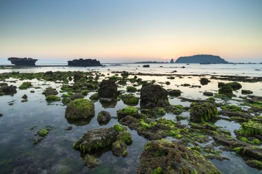 Sunrise moss sezonu