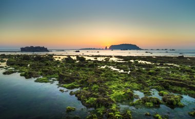 Sunrise moss sezonu