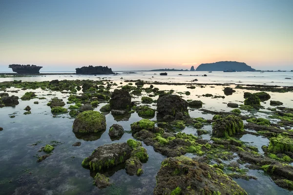 Sunrise in moss season — Stock Photo, Image