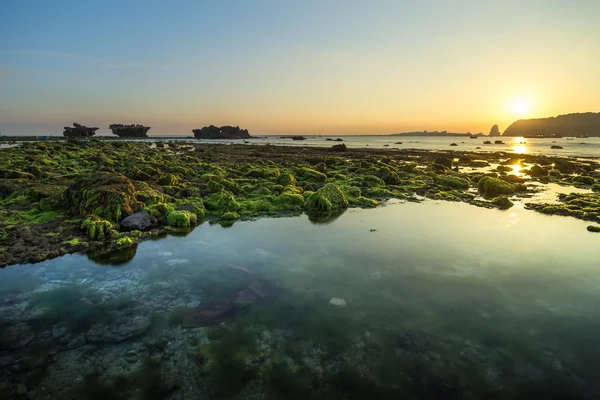 Sunrise moss bölgesi — Stok fotoğraf