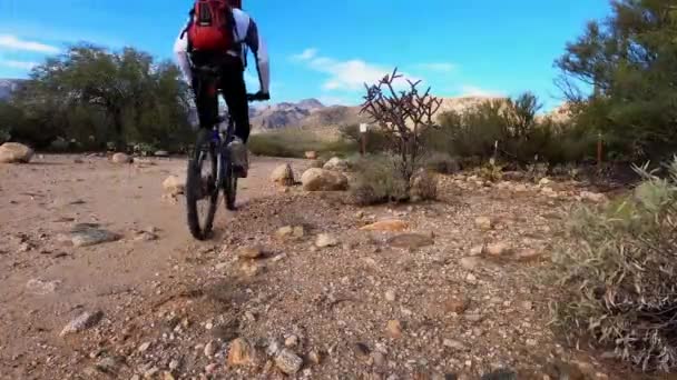 Ciclista de montaña en el sendero del desierto - Tucson, Arizona — Vídeo de stock