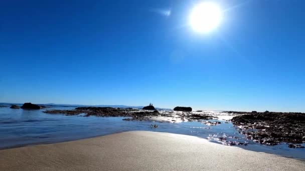 Cormorants on rock - Santa Barbara beach — Wideo stockowe