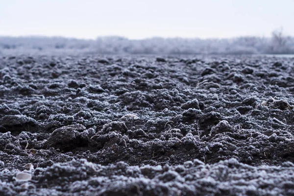 Winterlandschap. Veld bedekt met vorst. Koud weer. — Stockfoto