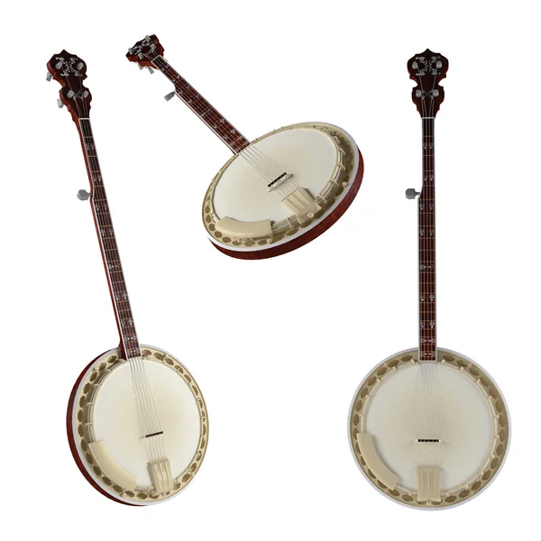 Banjo. tradiční vietnam hudební nástroj. — Stock fotografie