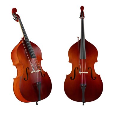 Contrabass,double bass.Classical music instrument clipart