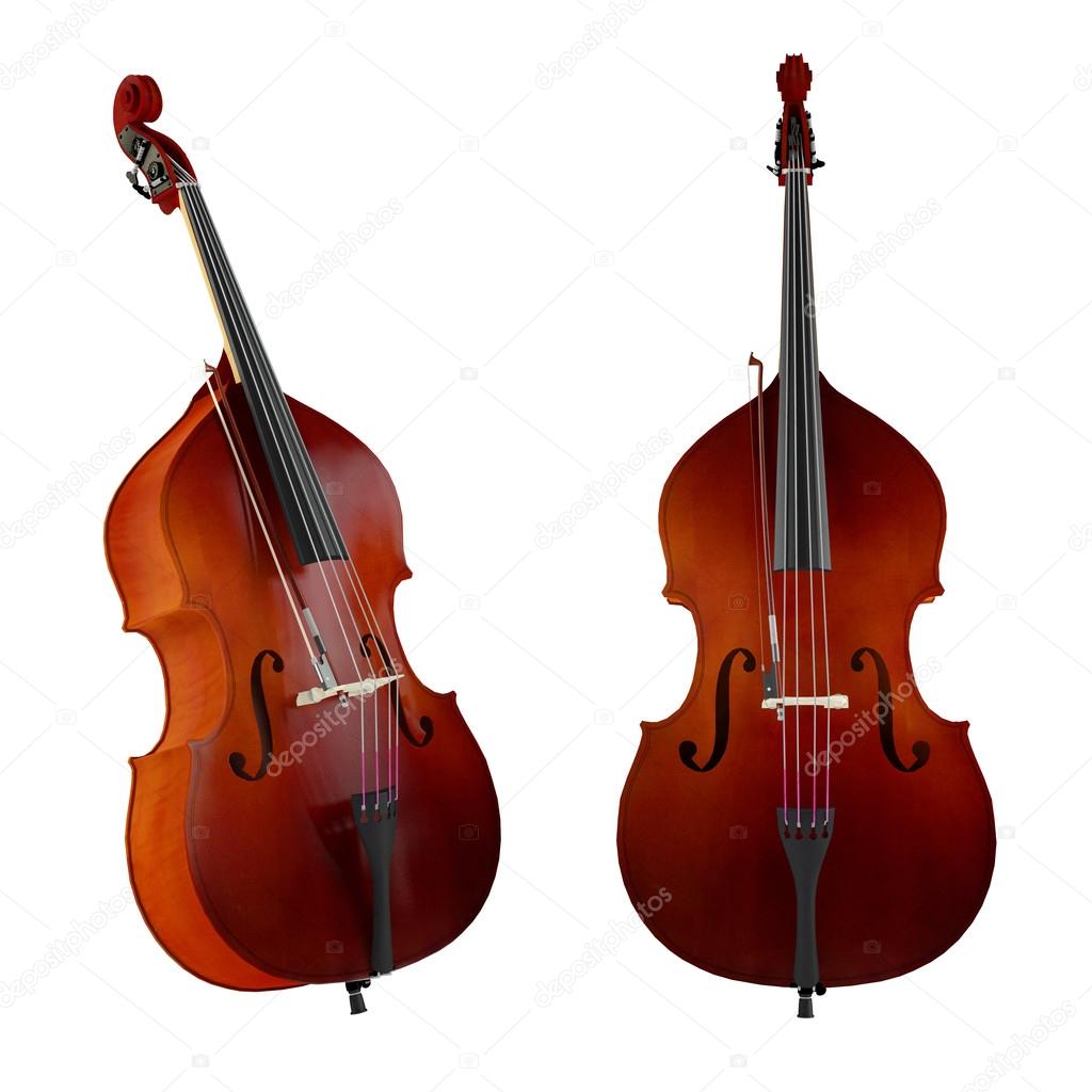 Contrabass violin sale