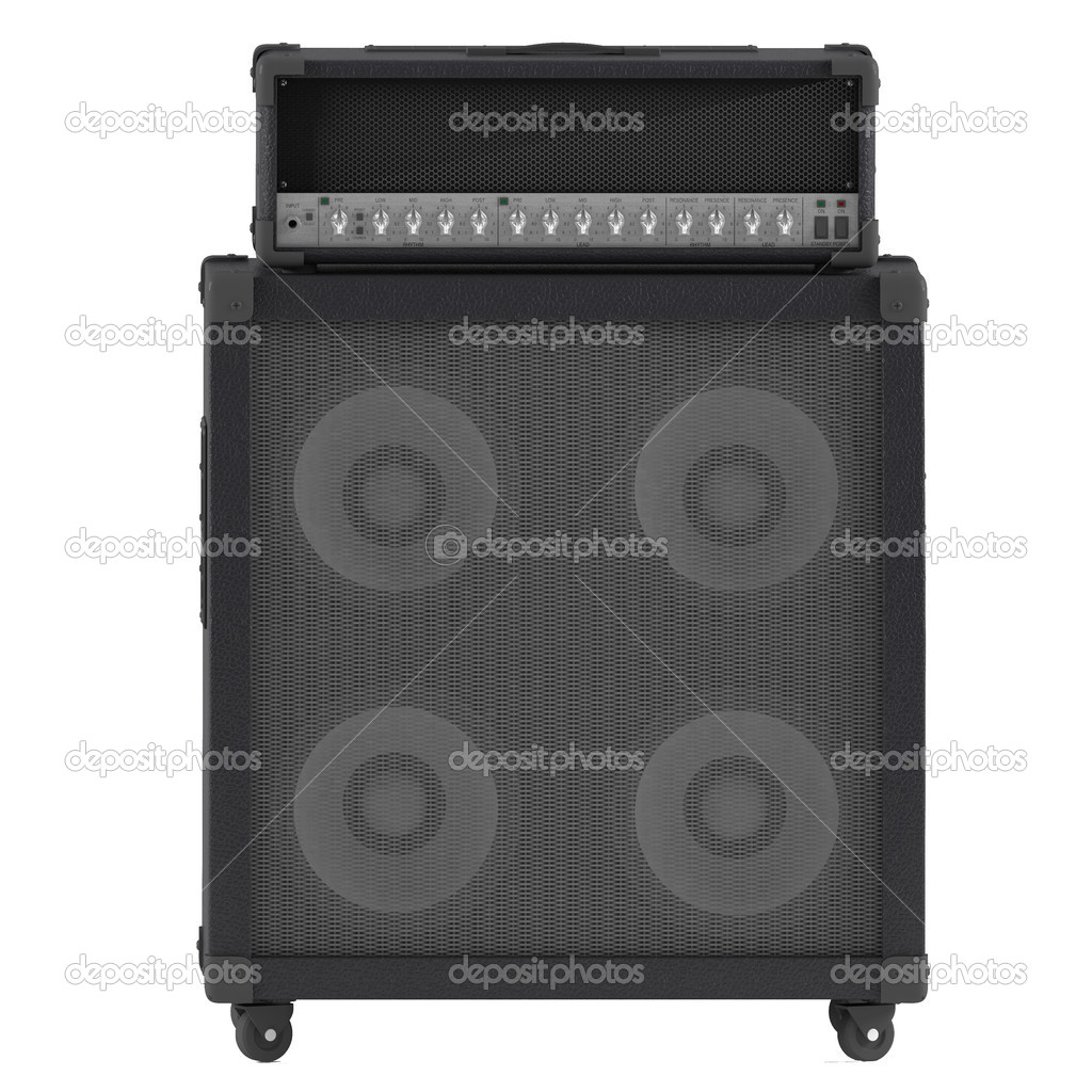 Bass guitar amplifier with control panel isolated