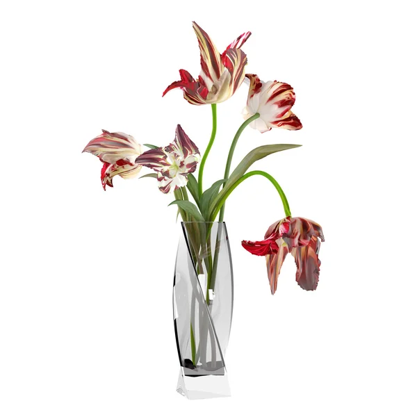 Vörös tulipán thr üvegváza — Stock Fotó