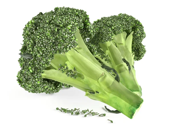 Broccoli isolati — Foto Stock